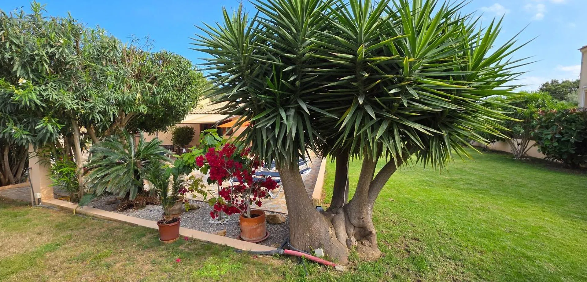 Casa La Siesta- Ruhiges Ferienhaus In Cala Ratjada, 300 M Vom Strand Son Moll Entfernt Cala Ratjada  Holiday home Cala Ratjada (Mallorca)